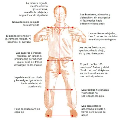 Entrenamiento adaptado